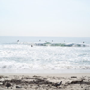 "Surf at Malibu beach"